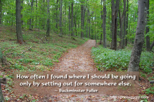 Sayings, Quotes: Buckminster Fuller