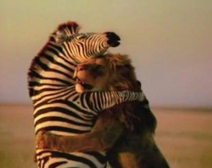 How the energy of this week affects you in your personal life: