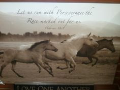 horse picture with bible verse about racing | Running with Mel: Let us ...