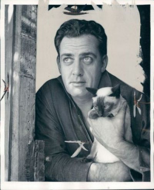 Raymond Burr with his Siamese cat circa 1960s It's interesting to see ...