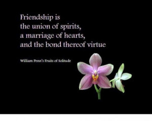 friendship quote friendship quotes for best friends friendship ...