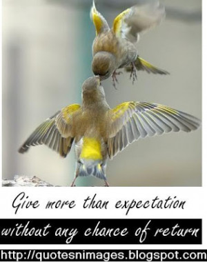 Give more than expectation without any chance of return.