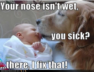 Your Nose Isn’t Wet,You Sick! ~ Get Well Soon Quote