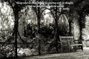 Buddha Quote On Tranquil Sitting Area Photograph