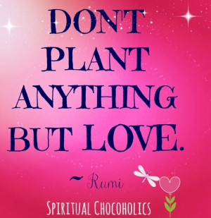 Don't plant anything but love