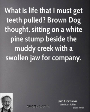 More Quotes Pictures Under: Dog Quotes