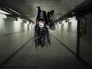 view original image )