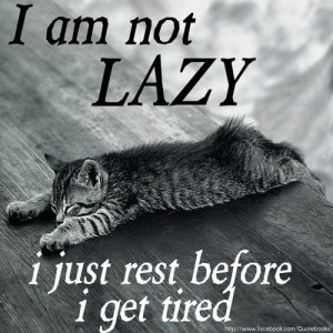 cat, cool, crazy, haha, lazy, life, live, quote, quotes, sleep, so ...