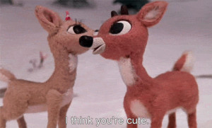 ... holiday cute rudolf the red nosed reindeer I think you're cute