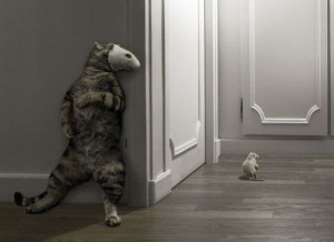 ... who find themselves homeless shouldn t there be a law against this