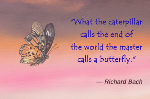 Famous Caterpillar Quotes
