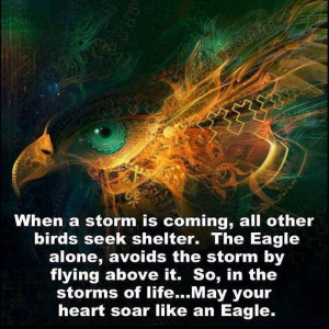 Fly above the storm
