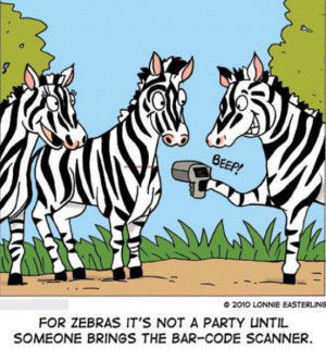 Funny Zebra Pictures – Zebra Party