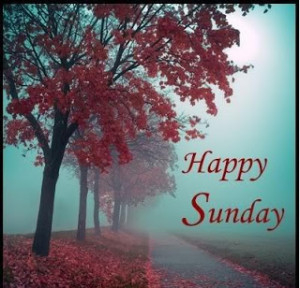 Happy Sunday Sms, Quotes, MMS, Cards, Facebook Status