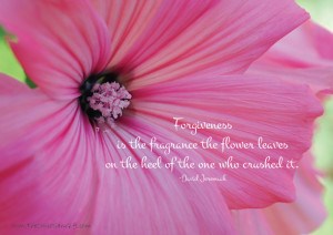 ... leaves on the heel of the one who crushed It ~ Forgiveness Quote
