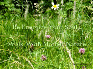 Re-energize your soul, walk with Mother nature