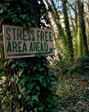 Stress free ahead