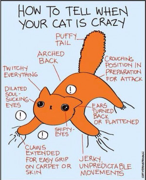 Crazy Cat Quotes chart -- I thought it was if he was breathing. :)