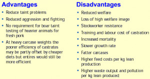 Balanced Scorecard Advantages Disadvantages Table | Journal Articles ...