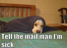 Every mail carrier's dream... More