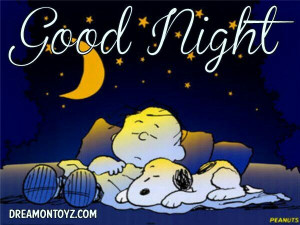 Good Night Snoopy I have to do some serious work tomorrow. New project ...