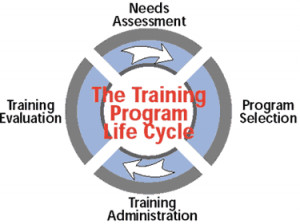 Family Life Cycle Career And Technical Education Vocational