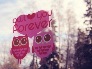 cute, forever, hearts, love, owl, pink, you