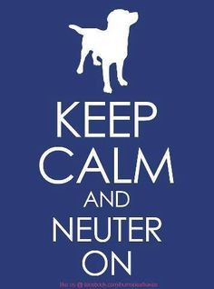 Keep calm & neuter on More