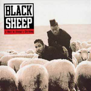Who's the Black Sheep, what's the Black Sheep?