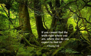 quotes by zhuangzi zhuangzi quotes zhuangzi daoist quotes for android