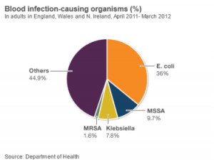 ... and are now the most frequent cause of hospital acquired infection