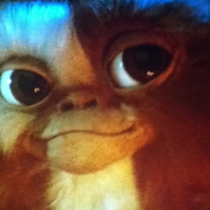 Gizmo Gremlins Meme