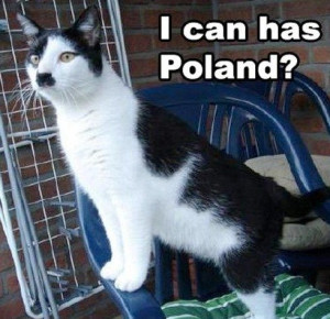 Can Has Poland Quot Hitler Cat