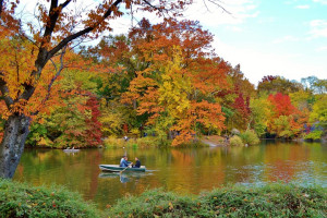 10 Autumn Quotes To Get You Excited About the First Day of Fall