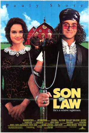 ... in Law Movie Quotes broken and stupid are Son in Law Movie Quotes on