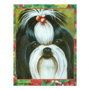 Shih Tzu with Holly for Christmas Invitation Card