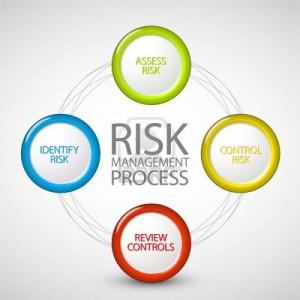operational risk and even specific product or initiative risk plans