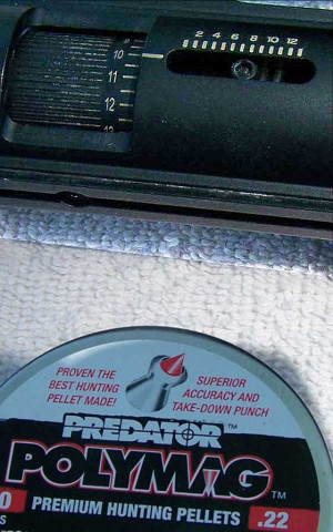 wall stickers quotes best air rifle for hunting