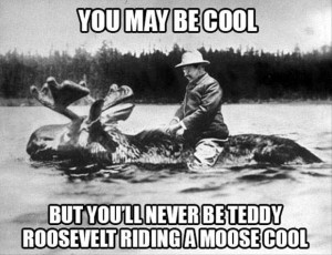 funny pictures, teddy roosevelt riding a moose