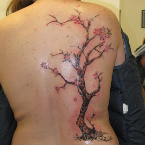 Cherry Blossom Tree Tattoos...