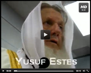 Hack Pedia The Hacker...