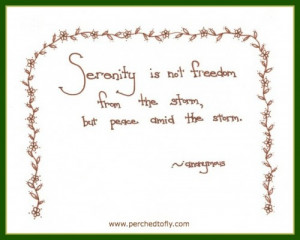 Serenity is not freedom from the storm, but peace amid the storm.