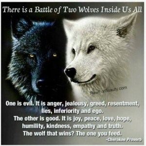 Battle of two wolves