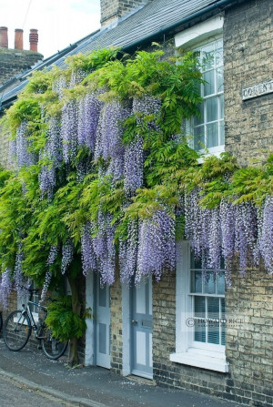 on front of Victorian house - Covent Garden, Cambridge Victorian House ...
