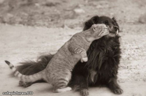 Views : 1060 | Rating: 0 | Posted: 6/30/2012