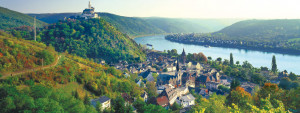 Rhine River Cruise