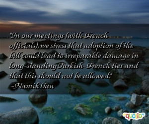 In our meetings (with French officials), we