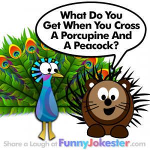 Related Pictures peacocks and puberty funny joke with a peacock ...