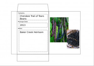 Cherokee Trail of Tears