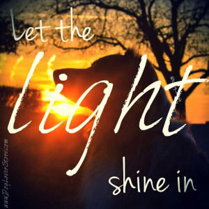 Let the light shine in